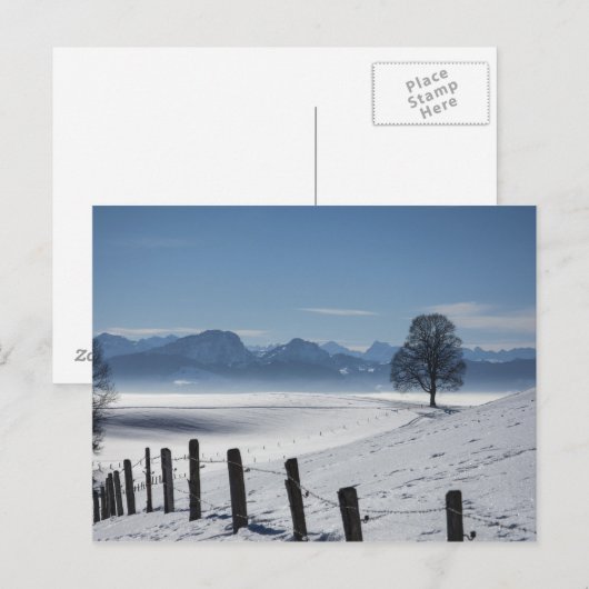 Schneedecke Foto Postkarte (Vorne/Hinten)