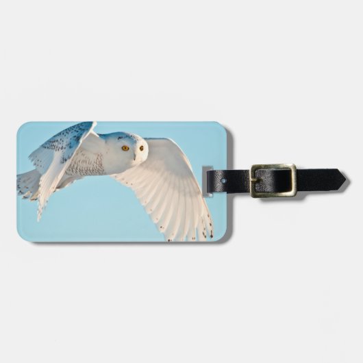 Schneedecke Gepäckanhänger (Vorderseite horizontal)