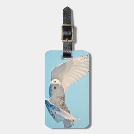 Schneedecke Gepäckanhänger (Vorderseite vertikal)