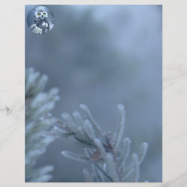 Schneedecke im Winter (Vorderseite)