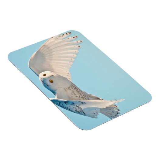 Schneedecke Magnet (Rechte Seite)