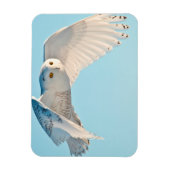 Schneedecke Magnet (Vertikal)