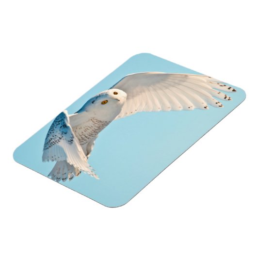 Schneedecke Magnet (Linke Seite)