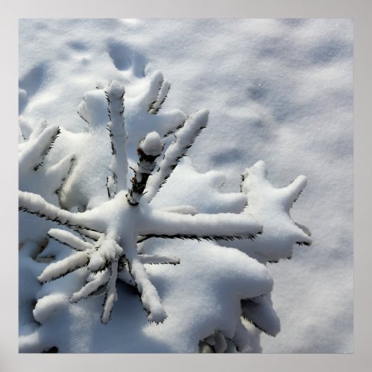 Schneedecke Poster (Vorne)