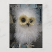 Schneedecke Postkarte (Vorderseite)