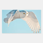 Schneedecke Rechteckiger Aufkleber (Vorderseite)