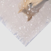 Schneedecke Seidenpapier (Detail)