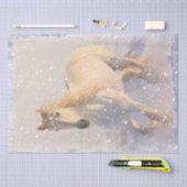 Schneedecke Seidenpapier (Handwerk)