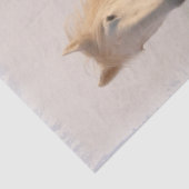 Schneedecke Seidenpapier (Detail)