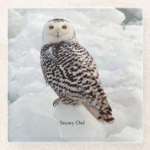 Schneedecker-Untersetzer Glasuntersetzer