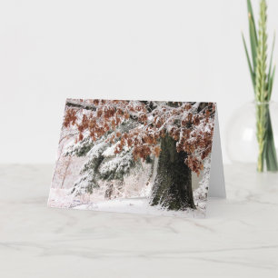 Schneeeiche Blätter Karte