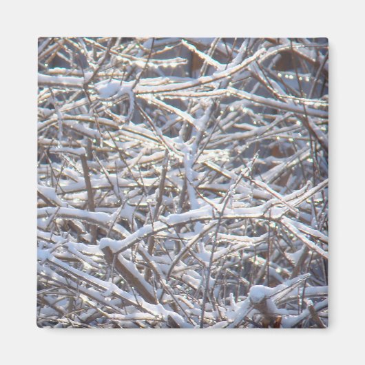 Schneeeiszweige im Winter Magnet (Vorne)
