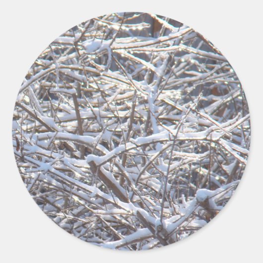 Schneeeiszweige im Winter Runder Aufkleber (Vorderseite)