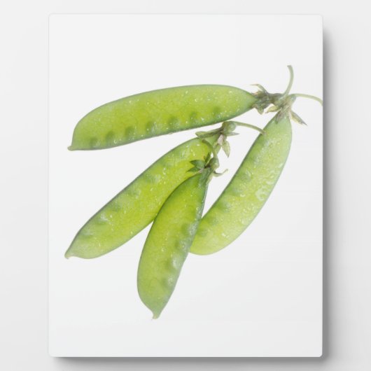 Schneeerbsen Fotoplatte (Vorderseite)