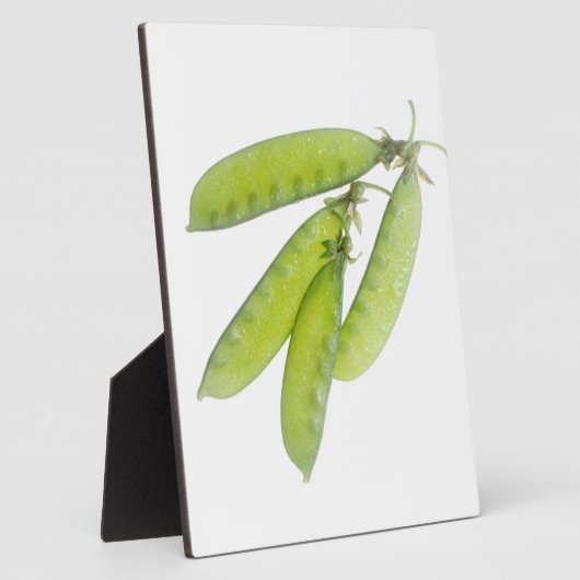 Schneeerbsen Fotoplatte (Seite)