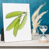 Schneeerbsen Fotoplatte (Seite)