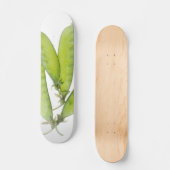 Schneeerbsen Skateboard (Vorderseite)