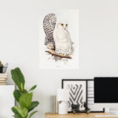 Schneeeule (1832–1837) poster (Heimbüro)