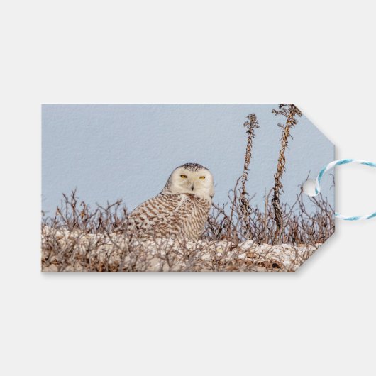Schneeeule am Strand Geschenkanhänger (Vorderseite (Horizontal))