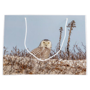 Schneeeule am Strand Große Geschenktüte