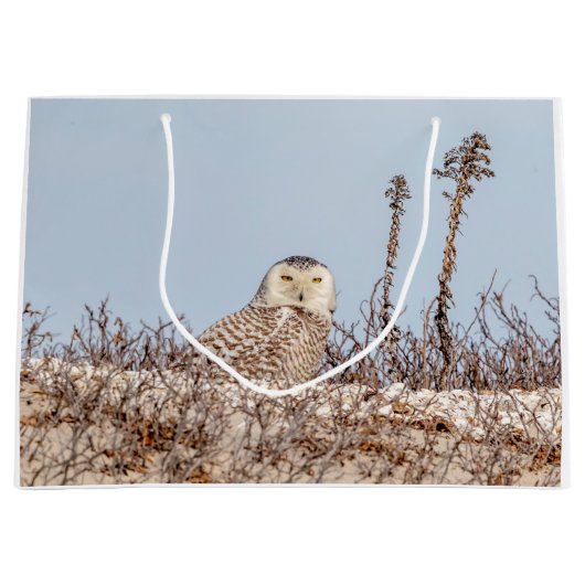 Schneeeule am Strand Große Geschenktüte (Vorderseite)