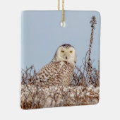 Schneeeule am Strand Keramikornament (Rechts)
