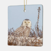Schneeeule am Strand Keramikornament (Links)