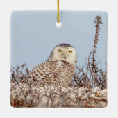 Schneeeule am Strand Keramikornament (Rückseite)