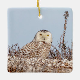 Schneeeule am Strand Keramikornament