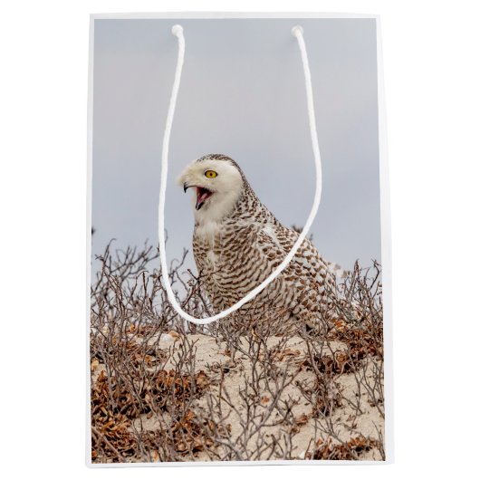 Schneeeule am Strand Mittlere Geschenktüte (Vorderseite)