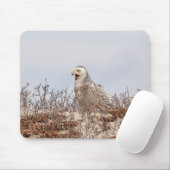 Schneeeule am Strand Mousepad (Mit Mouse)