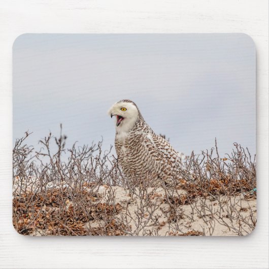 Schneeeule am Strand Mousepad (Vorne)