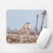 Schneeeule am Strand Mousepad (Mit Mouse)