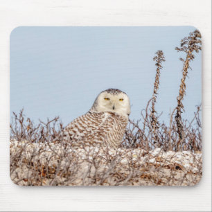Schneeeule am Strand Mousepad