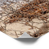 Schneeeule am Strand Poster (Ecke)