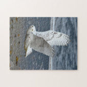 Schneeeule am Strand Puzzle (Horizontal)