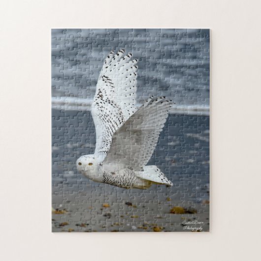 Schneeeule am Strand Puzzle (Vertikal)