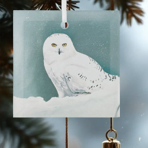 Schneeeule Arktischer Winterhimmel Schnee Türkis Ornament Aus Glas