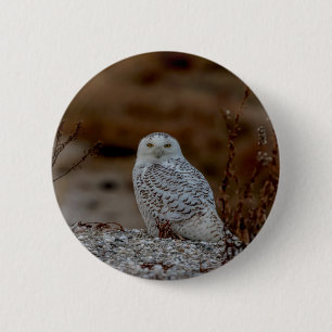 Schneeeule auf einem Felsen Button