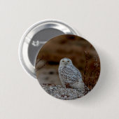 Schneeeule auf einem Felsen Button (Vorne & Hinten)