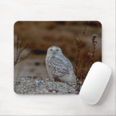 Schneeeule auf einem Felsen Mousepad (Mit Mouse)