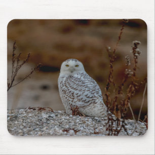 Schneeeule auf einem Felsen Mousepad