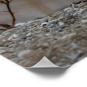 Schneeeule auf einem Felsen Poster (Ecke)