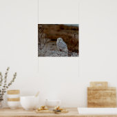 Schneeeule auf einem Felsen Poster (Küche)
