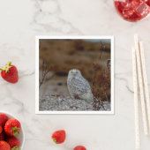 Schneeeule auf einem Felsen Serviette (Beispiel)
