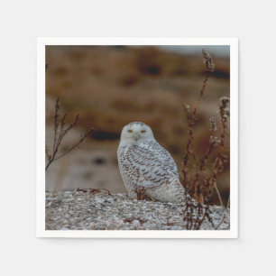 Schneeeule auf einem Felsen Serviette