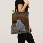 Schneeeule auf einem Felsen Tasche (Von Nahem)