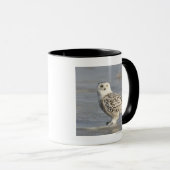 Schneeeule auf Eis stehend, ein Schwanz Tasse (VorderseiteRechts)