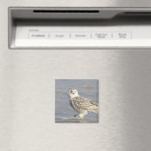 Schneeeule auf Eis stehend, Schwanz einer Maus Magnet (In Situ (Geschirrspüler))