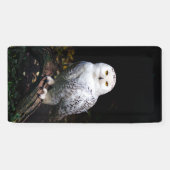 Schneeeule Banner (Horizontal)